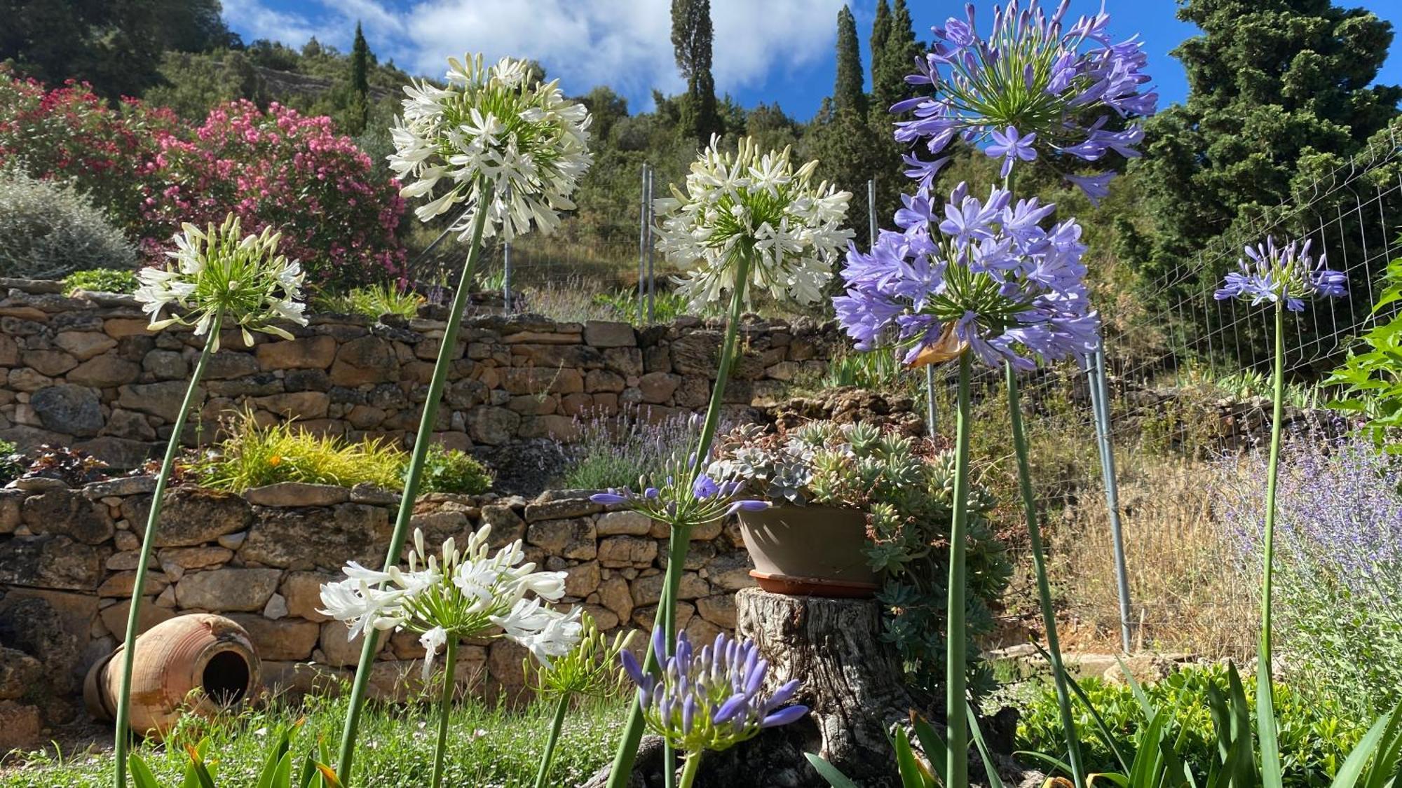 Apartamentos Casa Lola Rodeados De Montanas Y Rios Бесейте Екстер'єр фото